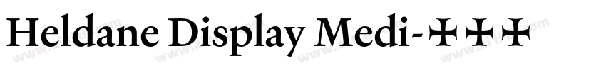 Heldane Display Medi字体转换